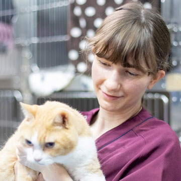 ケイティ・ウッダード