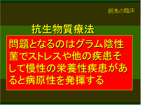 抗生物質療法