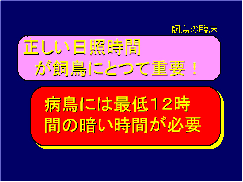 正しい日照時間が飼鳥にとって需要