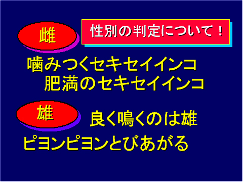 性別の判定について