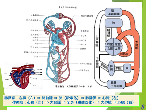 三鷹獣医科グループ・心不全04