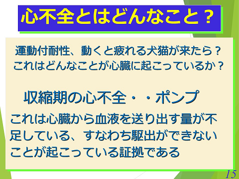 三鷹獣医科グループ・心不全はどんなこと？01