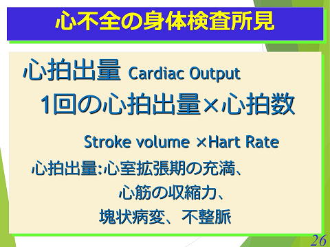 三鷹獣医科グループ・心不の身体検査初見01