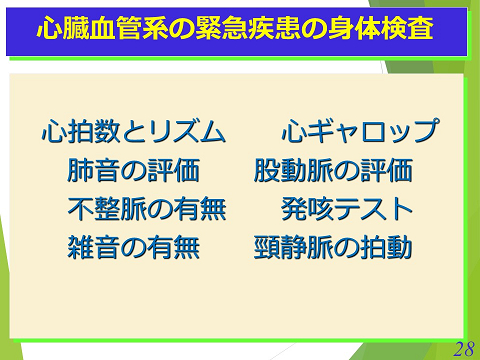 三鷹獣医科グループ・心臓血管系の緊急疾患の身体検査