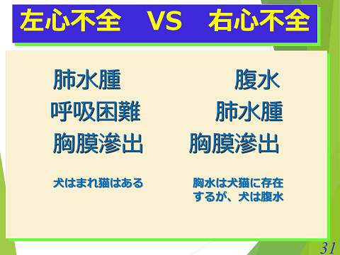 三鷹獣医科グループ・左心不全vs右心不全
