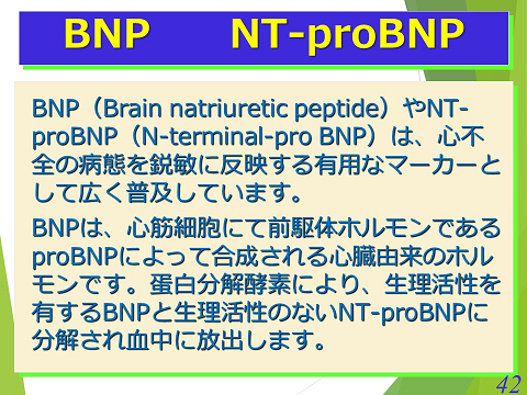三鷹獣医科グループ・BNP NT-proBNP01