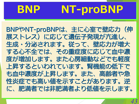 三鷹獣医科グループ・BNP NT-proBNP02