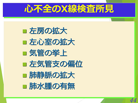 三鷹獣医科グループ・心不全のX線検査所見