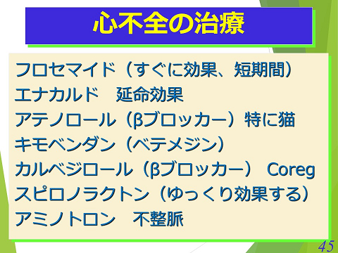 三鷹獣医科グループ・心不全の治療