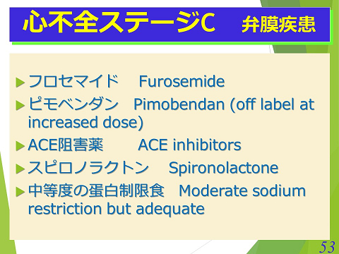 三鷹獣医科グループ・心不全ステージC　弁膜疾患