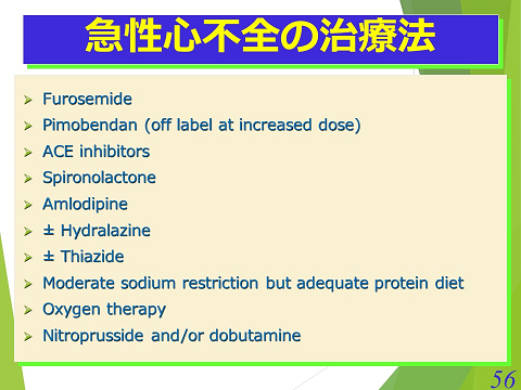 三鷹獣医科グループ・急性心不全の治療法