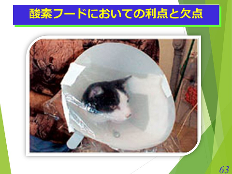 三鷹獣医科グループ・酸素フードにおいての利点と欠点02