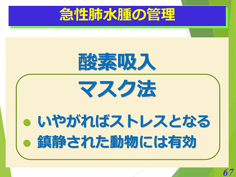 三鷹獣医科グループ・急性肺水腫の管理