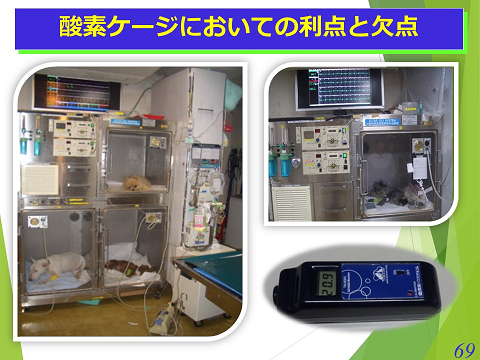 三鷹獣医科グループ・酸素ケージにおいての利点と欠点02