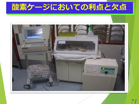 三鷹獣医科グループ・酸素ケージにおいての利点と欠点03