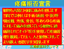 疼痛拒否宣言