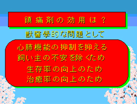 疼痛剤の効用は?01