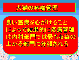犬猫の疼痛管理02