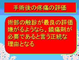 手術後の疼痛の評価02