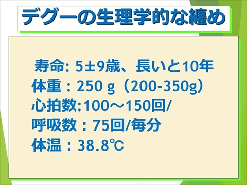 デグーの生理学的な纏め