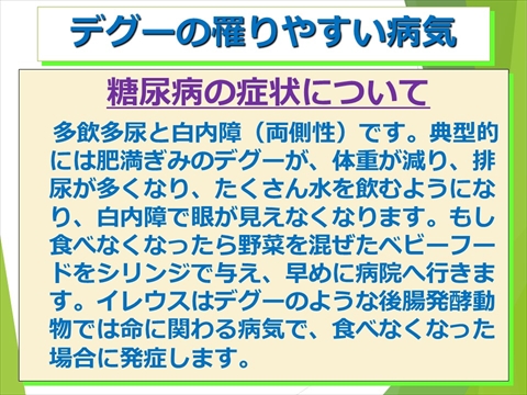 デグーの罹りやすい病気12