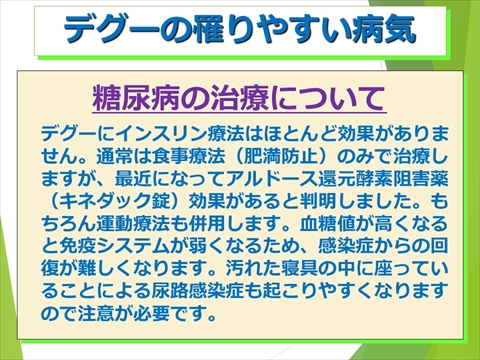 デグーの罹りやすい病気14
