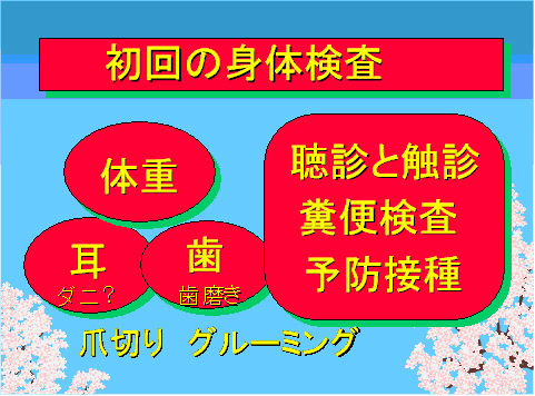 初回の身体検査