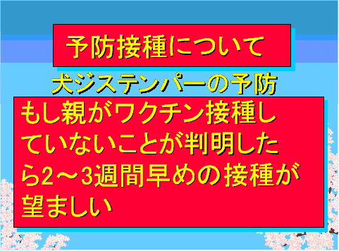 予防接種について03