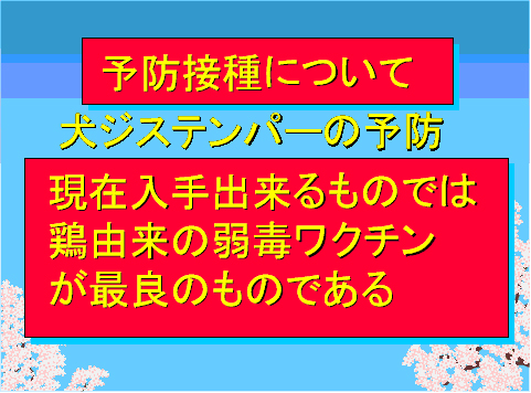 予防接種について04