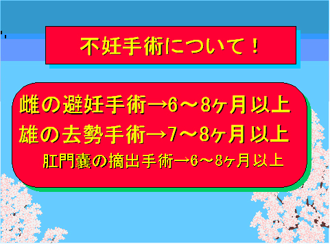 不妊手術について