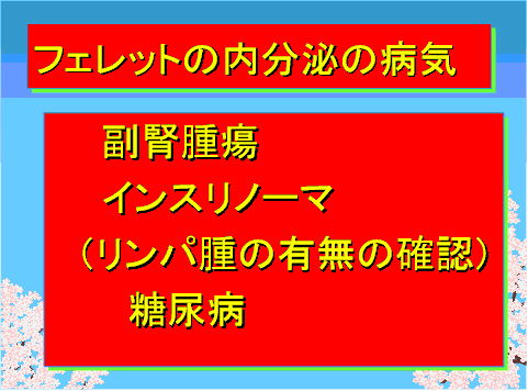 フェレットの内分泌の病気