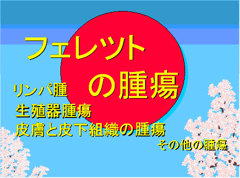 フェレットの腫瘍