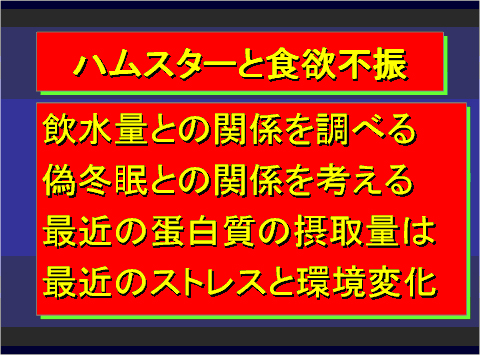 ハムスターと食欲不振