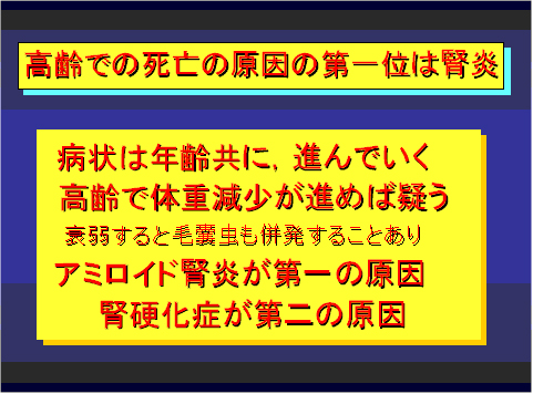 高齢での死亡の原因の第一位は腎炎