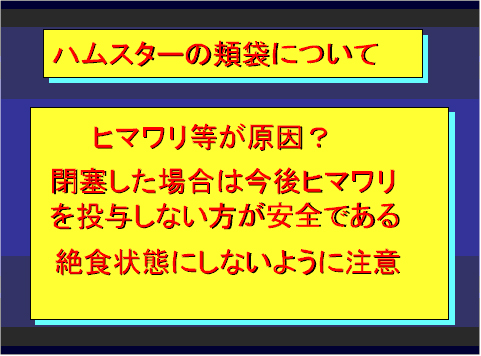 ハムスターの頬袋について02