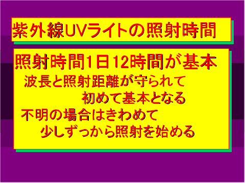紫外線UVライトの照射時間