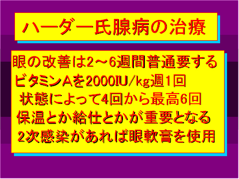 ハーダー氏腺病の治療