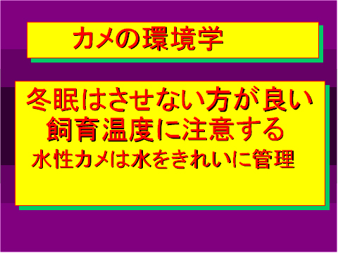 カメの環境学