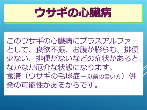 ウサギの心臓病12