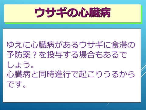 ウサギの心臓病13