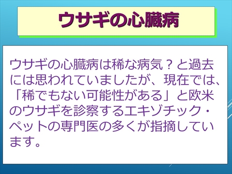 ウサギの心臓病