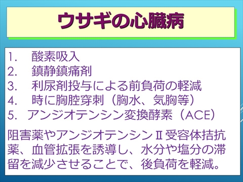 ウサギのうっ血性心不全の治療法