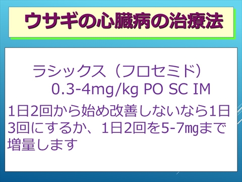 ウサギの心臓病の治療法03