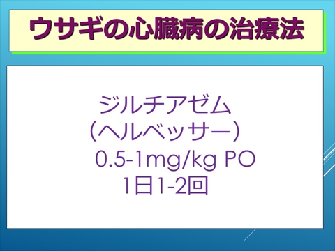 ウサギの心臓病の治療法06