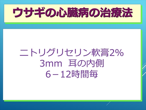 ウサギの心臓病の治療法07