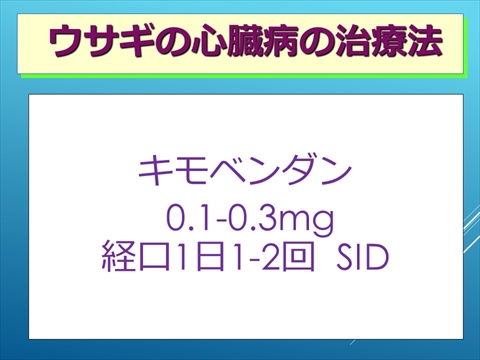 ウサギの心臓病の治療法08