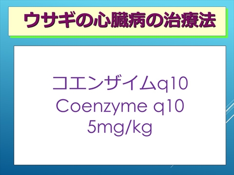 ウサギの心臓病の治療法09