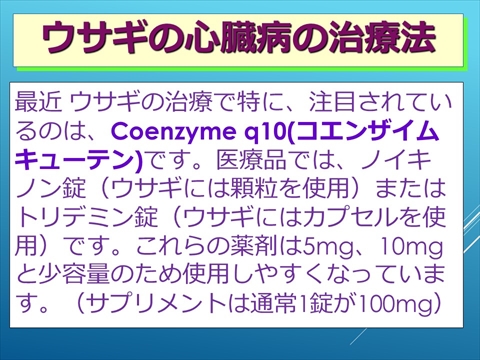 ウサギの心臓病の治療法10