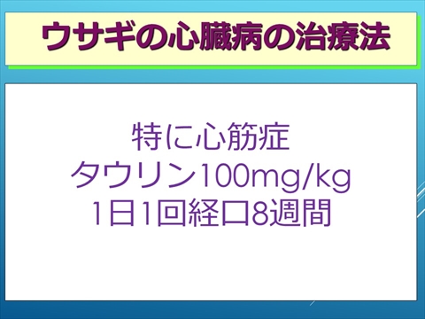 ウサギの心臓病の治療法14