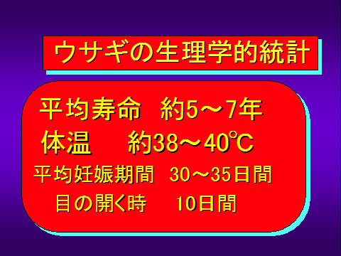 ウサギの生理学的統計01